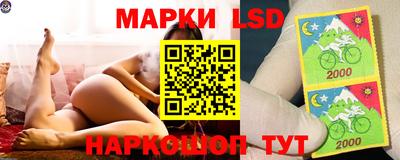 стафф Новокубанск