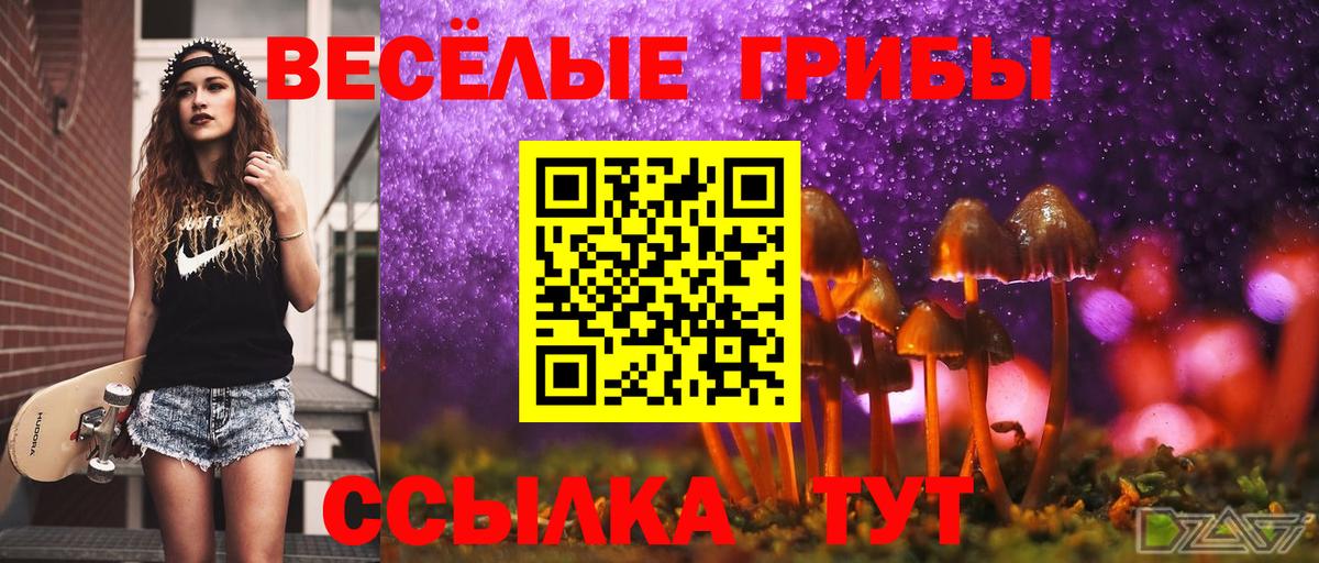 Псилоцибиновые грибы Magic Shrooms Рязань