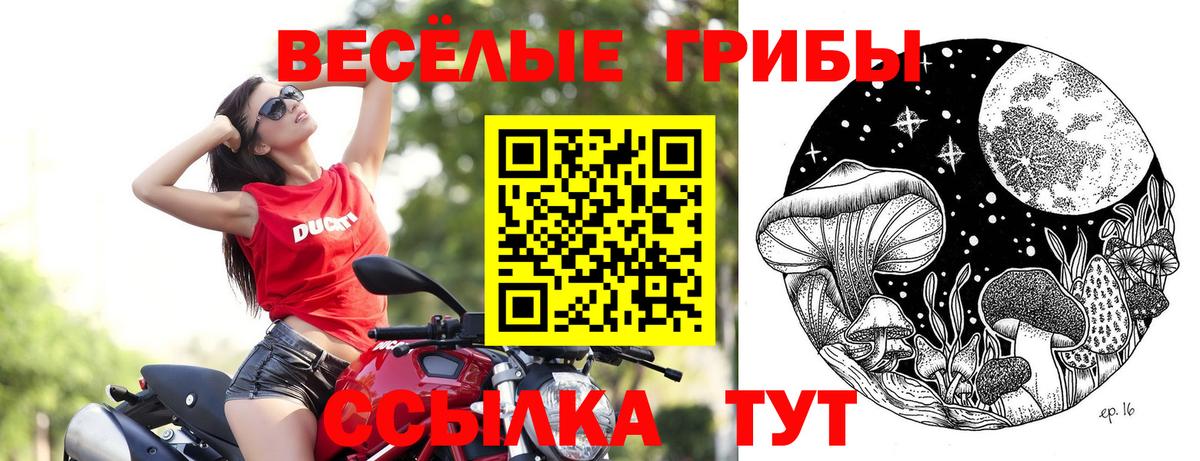 Галлюциногенные грибы Psilocybe  наркошоп  Рязань  Вход с VPN 